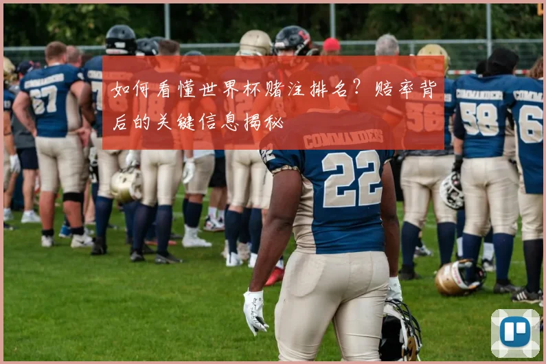 如何看懂世界杯赌注排名?赔率背后的关键信息揭秘