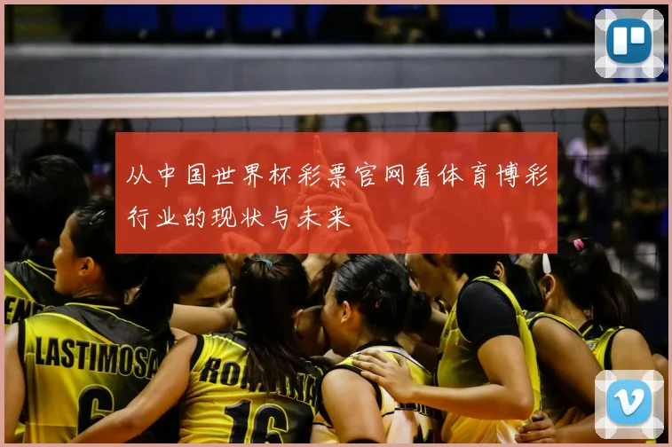 从中国世界杯彩票官网看体育博彩行业的现状与未来