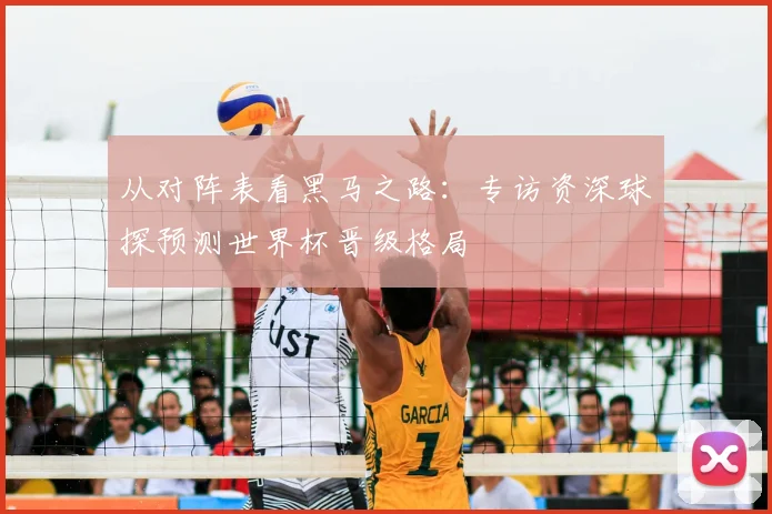 从对阵表看黑马之路:专访资深球探预测世界杯晋级格局