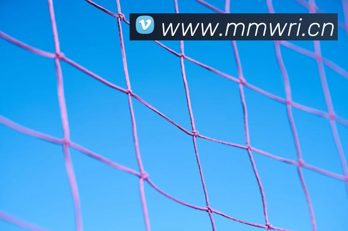 星空体育官方在线观看服务体系